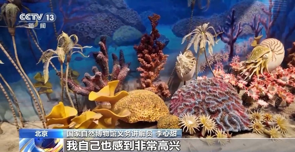 我自己也感, 他们服务的, 妙夜