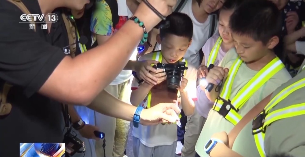 KgxCg, 场景, entit