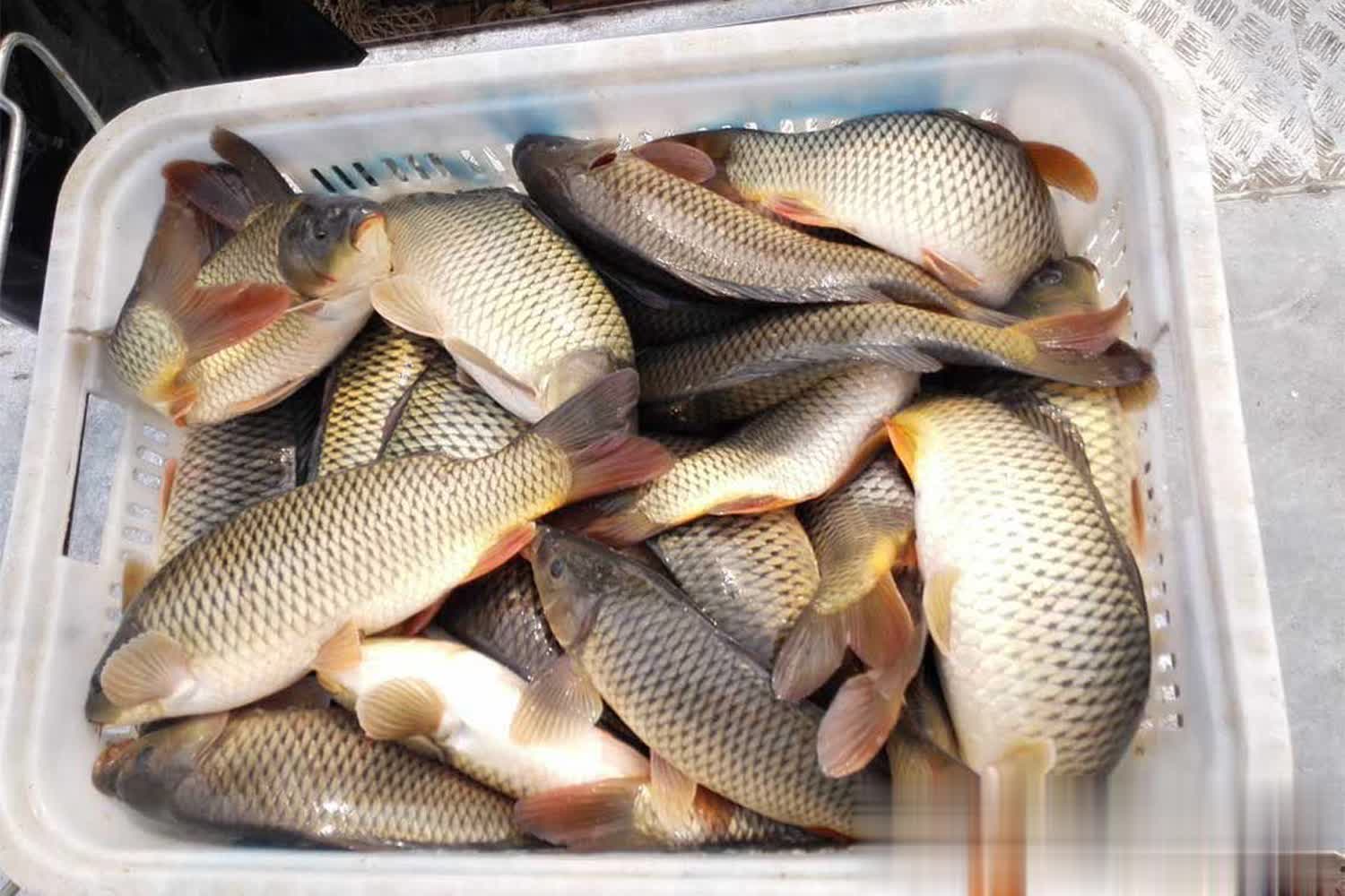 https, 如果边角的